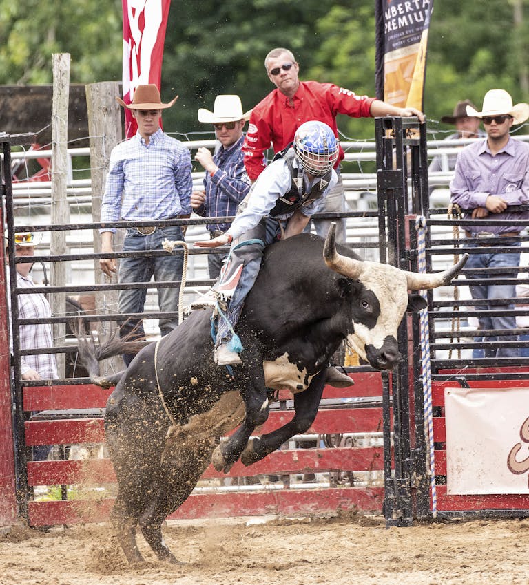 Thrilling bull riding action at a rodeo with cowboy and audience.